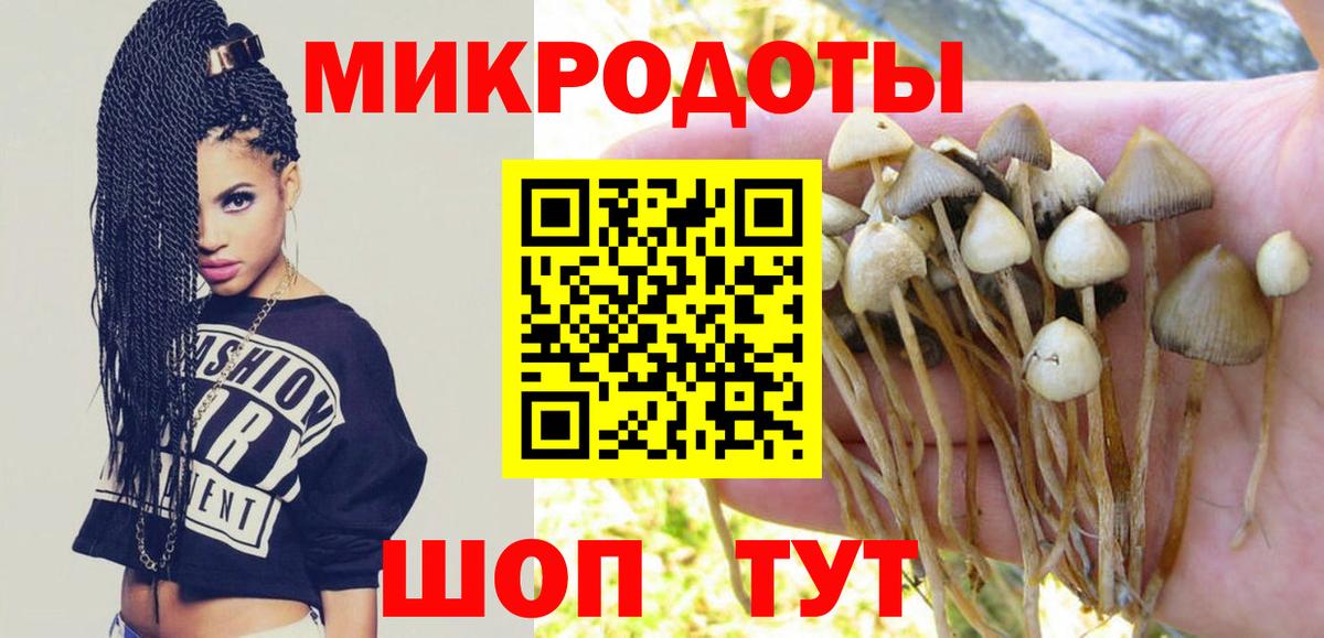 Краснотурьинск  Галлюциногенные грибы мухоморы  Вход с VPN  купить наркотики цена  Галлюциногенные грибы мицелий 